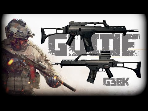 G36K GUN GUIDE Insurgency Sandstorm