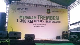 preview picture of video 'Djarum Foundation, Menanam Trembesi 1.350 Merak-Banyuwangi, Cilegon, Banten'