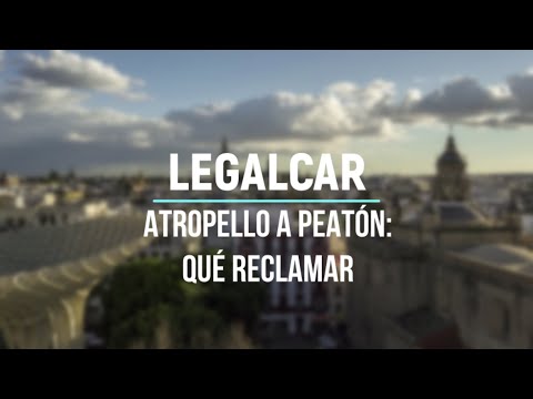 Video Youtube LegalCar