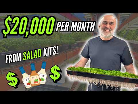 How This Hydroponic Farm Makes $250,000/Year Selling Salad Kits