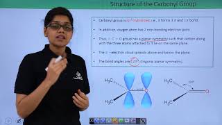 Class 12th – Structure of Carbonyl Group | Aldehydes, Ketones and Carboxylic Acids | Tutorials Point