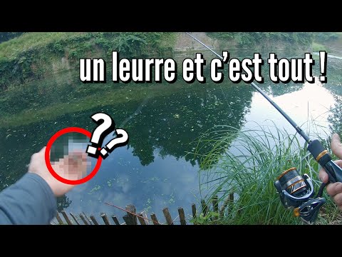 DÉFI : UN LEURRE UN SPOT, perches EN FOLIES