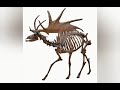 Irish elk reconstruction sounds