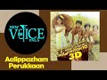 Aalippazham Perukkaan 4K My Dear Kuttichathan New Voice Pala Thalakottukara Golden Fest 2025
