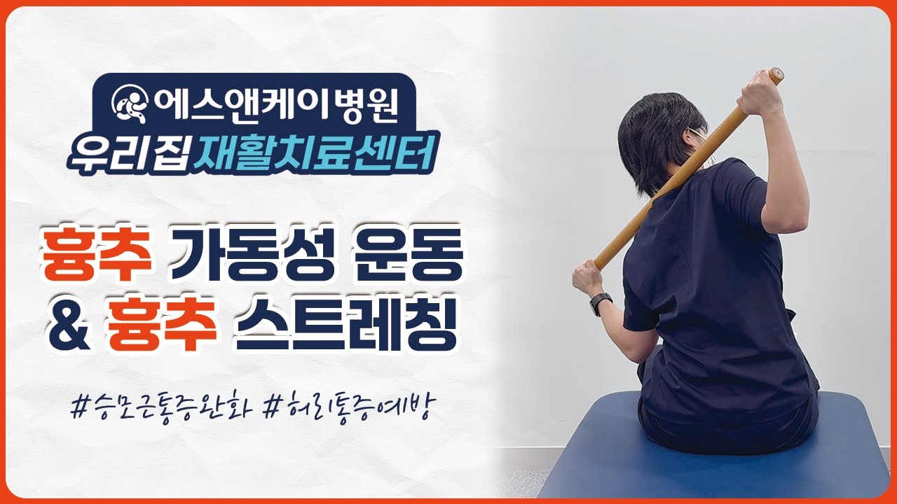 굳은 흉추를 풀면 승모근 통증·허리 통증이 같이 줄어듭니다｜흉추 운동 및 스트레칭