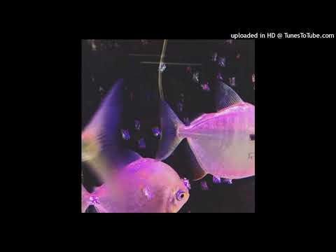 [free] new jazz x fendiglock x thrill pill x yeat type beat - "thorfinn"