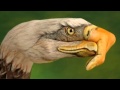 Eagles - Take It Easy -HD 
