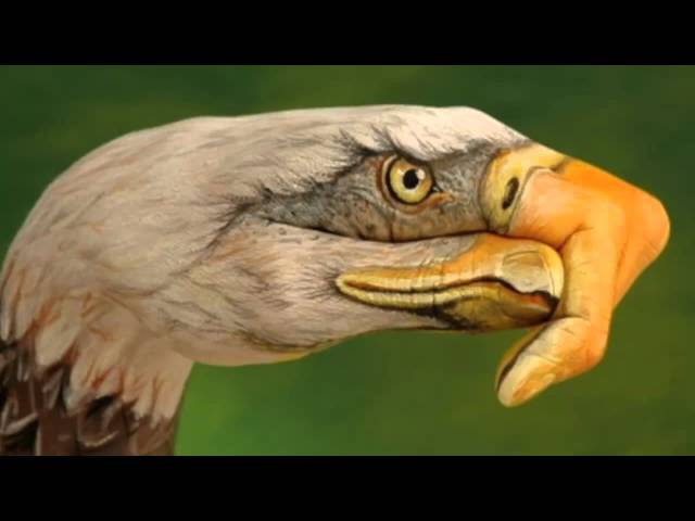 Eagles - Take It Easy (Remix Stems)