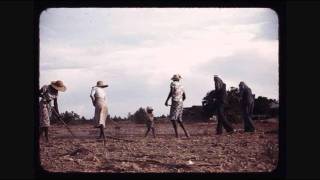 Ranie Burnette - Shake 'Em On Down