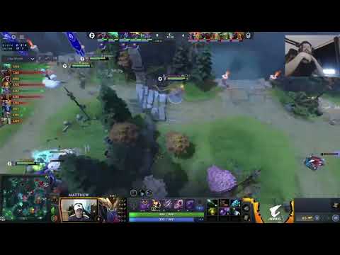 Gorgc "NISHA NOOB?" about having 100% WINRATE vs Team Liquid Nisha