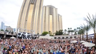 Calvin Harris  Steve Aoki headline 2015 Grand Opening Weekend