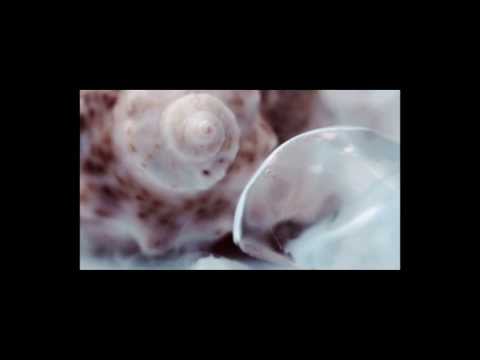 ELECTRIC RESCUE - Airy field