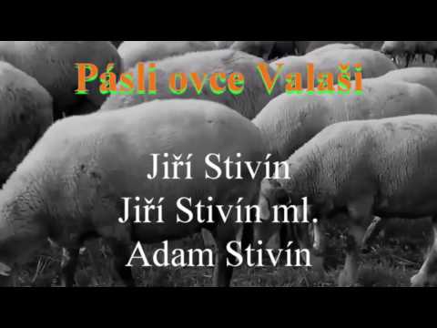 Pásli ovce Valaši  -  STIVÍN