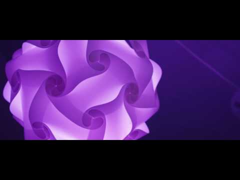 HELLS & CHRONICLES - We The Animals (OFFICIAL VIDEO)