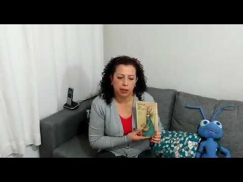 Video donadores horas