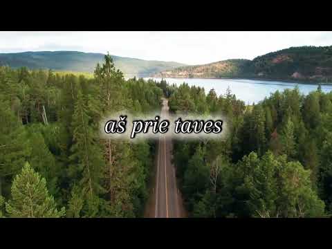 Adomas Vyšniauskas-kely sustoja laikas (su žodžiais ) 