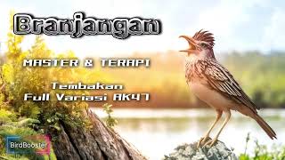 Download lagu Master Branjangan full isian | Burcil Sultan | Terapi Air mp3