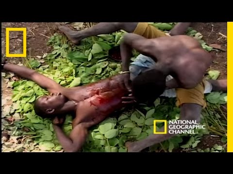 download lagu mp3 mp4 Sa Meats, download lagu Sa Meats gratis, unduh video klip Sa Meats