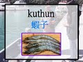 邵族捕魚法 Shuni