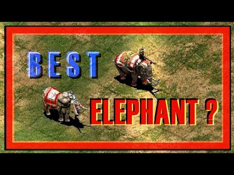 Elite War Elephant or Elite Battle Elephant? AoE2