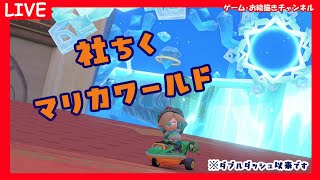 【マリオカートワールド】　プクプクフォールズ day2　TA練習　（毎日30分）