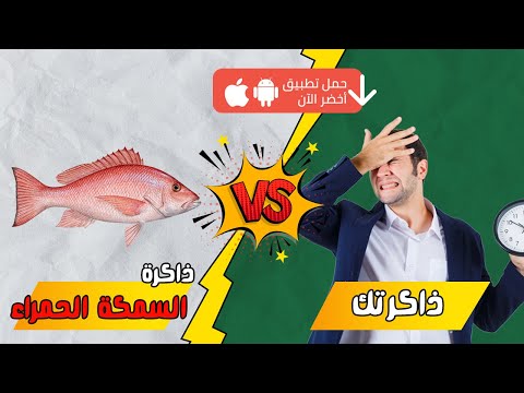 كيف تؤثر السوشيال ميديا على عقولنا كتاب حضارة السمكة الحمراء