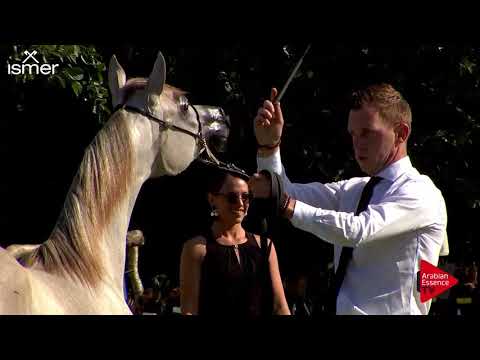 N.4 JOULINA KA - Strohen 2018 C European