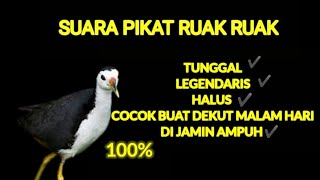 Download lagu Suara pikat ruak-ruak TUNGGAL AND LEGEND dijamin ampuh buat nyuluh malam mp3