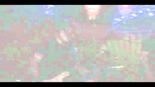 DUMMY ROOM - live @ the House Cafe - "Demons"