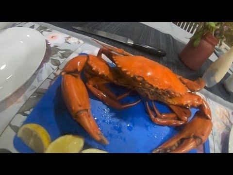 mission point camping mud crab catch n cook + special recipe for fish Ep8