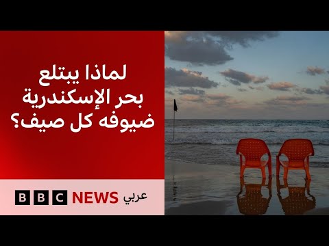 فيديو | شواطئ مغلقة وبحر جائع: لماذا يبتلع بحر الإسكندرية ضيوفه كل صيف؟