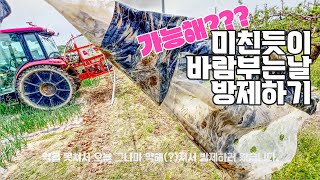 강풍부는날 약치기 2in1 금용방제기 | 양파농사 | 트랙터 방제기