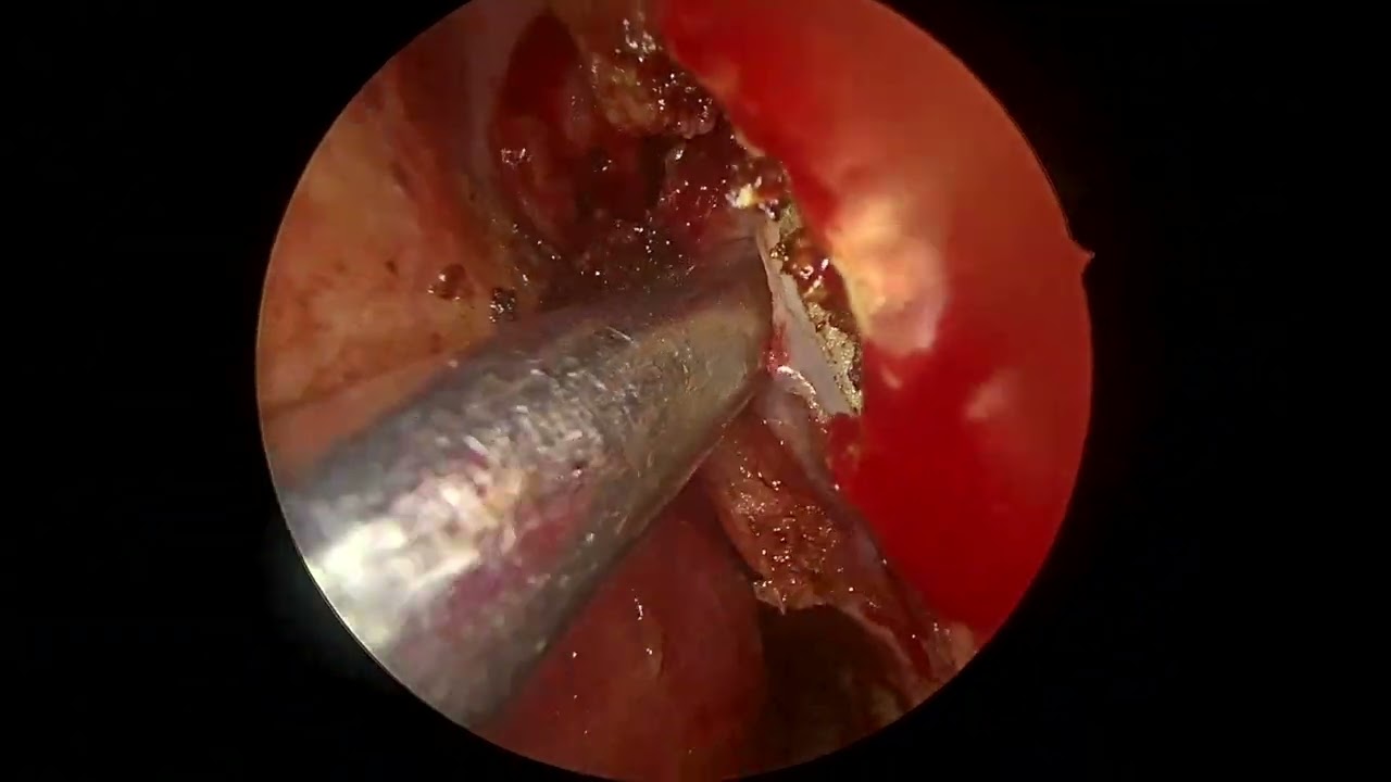 Héctor Eduardo Velázquez Domínguez-12