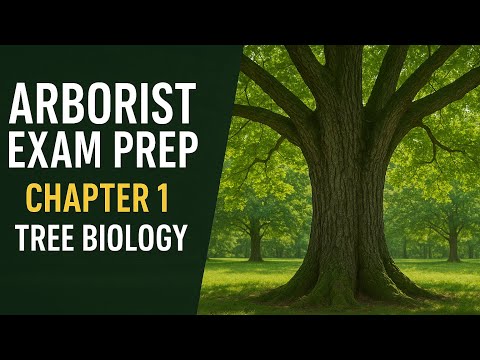 Arborist Exam Prep: Chapter 1 - Tree Biology