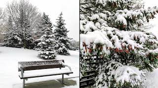 Walking in the Air composed by Howard Blake, 1982