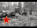 В лесу прифронтовом - Песни военных лет - Лучшие фото - С берез неслышен ...
