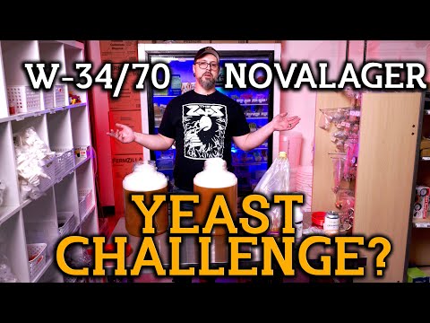 Brewing a Lager At Room Temperature?  W34/70 vs Novalager: From Fermonster to Oxebar Which Will Win?