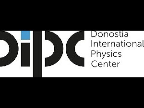 Chiral effective field theory for dark matter direct detection - Achim Schwenk