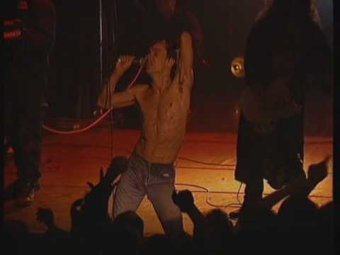 Iggy Pop - Search and Destroy (Kiss my Blood) [HQ]