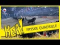 HEA! De 'jonkies' van de Friese Quadrille