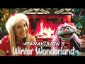 Panavision S Winter Wonderland
