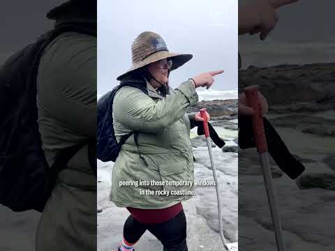 Tide pooling on the Oregon coast