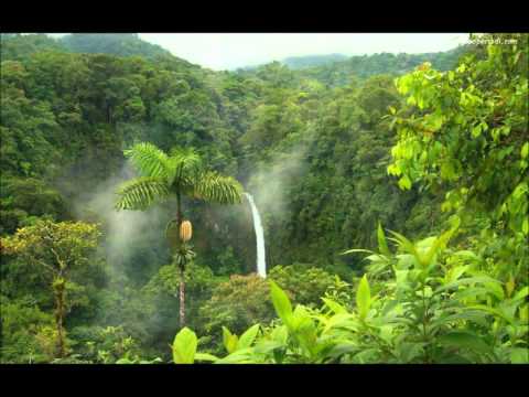 Radio Dojo: Missa Johnouchi Asian Wind