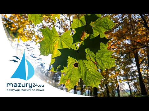 Mazurskie barwy - złota jesień 2020