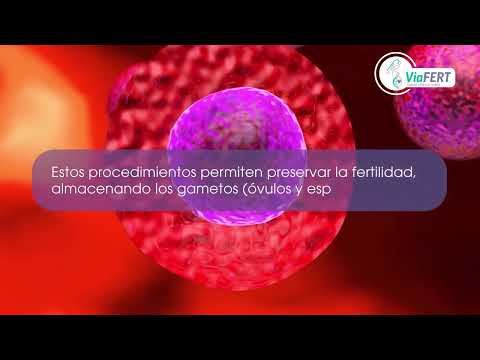 The Comprehensive Egg Freezing Procedure in Mexico: A Guide to Cryopreservation