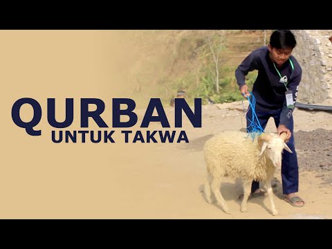 Meraih Kesempurnaan Pahala Qurban | Ustadz. Ammi Nur Baits