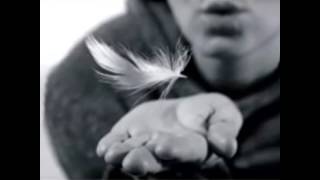 VOGLIO VOLARE... - MARCO MASINI...(1993-2015)... By AngieMaso