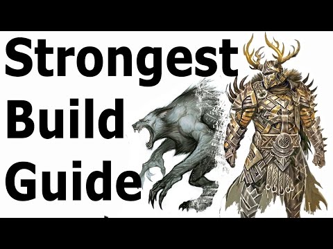 Skyrim: The Strongest Build Guide (Werewolf Class Setup) Video