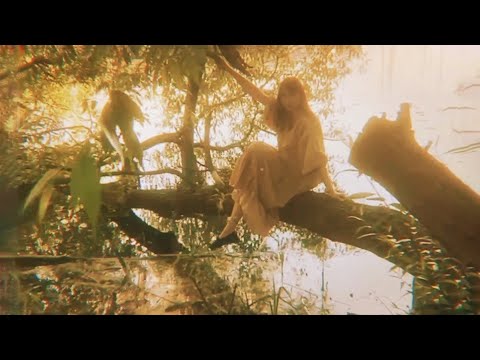 Skott - Sunshine (Official Lyric Video)