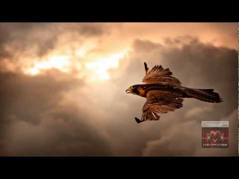 Bryan Kearney & Jamie Walker - We'll Never Die (Sebastian Brandt Remix)